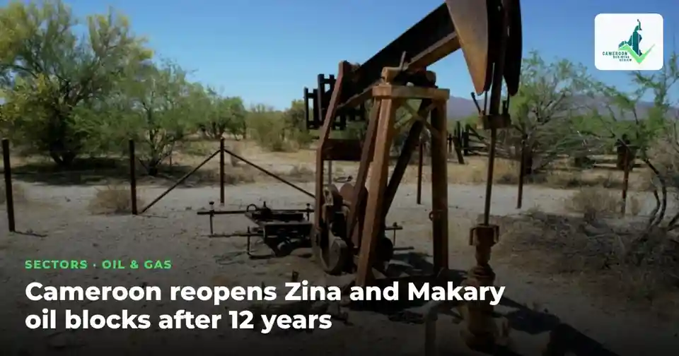 A rusty oil pump jack in dry open country under a blue sky, with the Cameroon Business Review logo at top right
